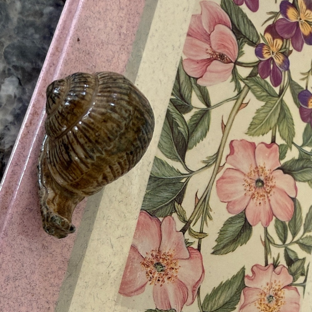 CO Shell with Yellow Label
